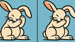 Hjärngympa: Kan du hitta 3 skillnader i bilden med kaninen på 85 sekunder?