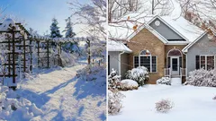 Vad du behöver göra i trädgården i januari: 7 tips från den kungliga trädgårdsmästaren