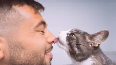 Hemligheterna bakom katters ömhet: Varför katter slickar sina ägare på huvudet