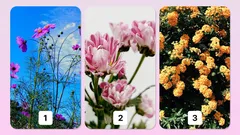 Psykologiskt test: Välj en blomma och ta reda på din största talang